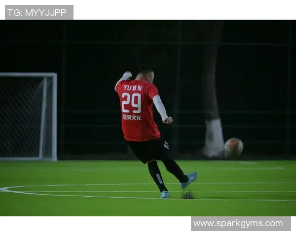 足球明星的猫咪也来踢球了它们的精彩瞬间让人忍俊不禁